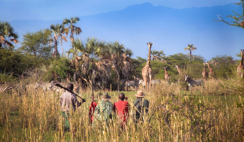 Spotting wildlife on a walking safari in Tanzania