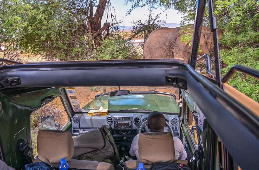 Safari experience Kenya