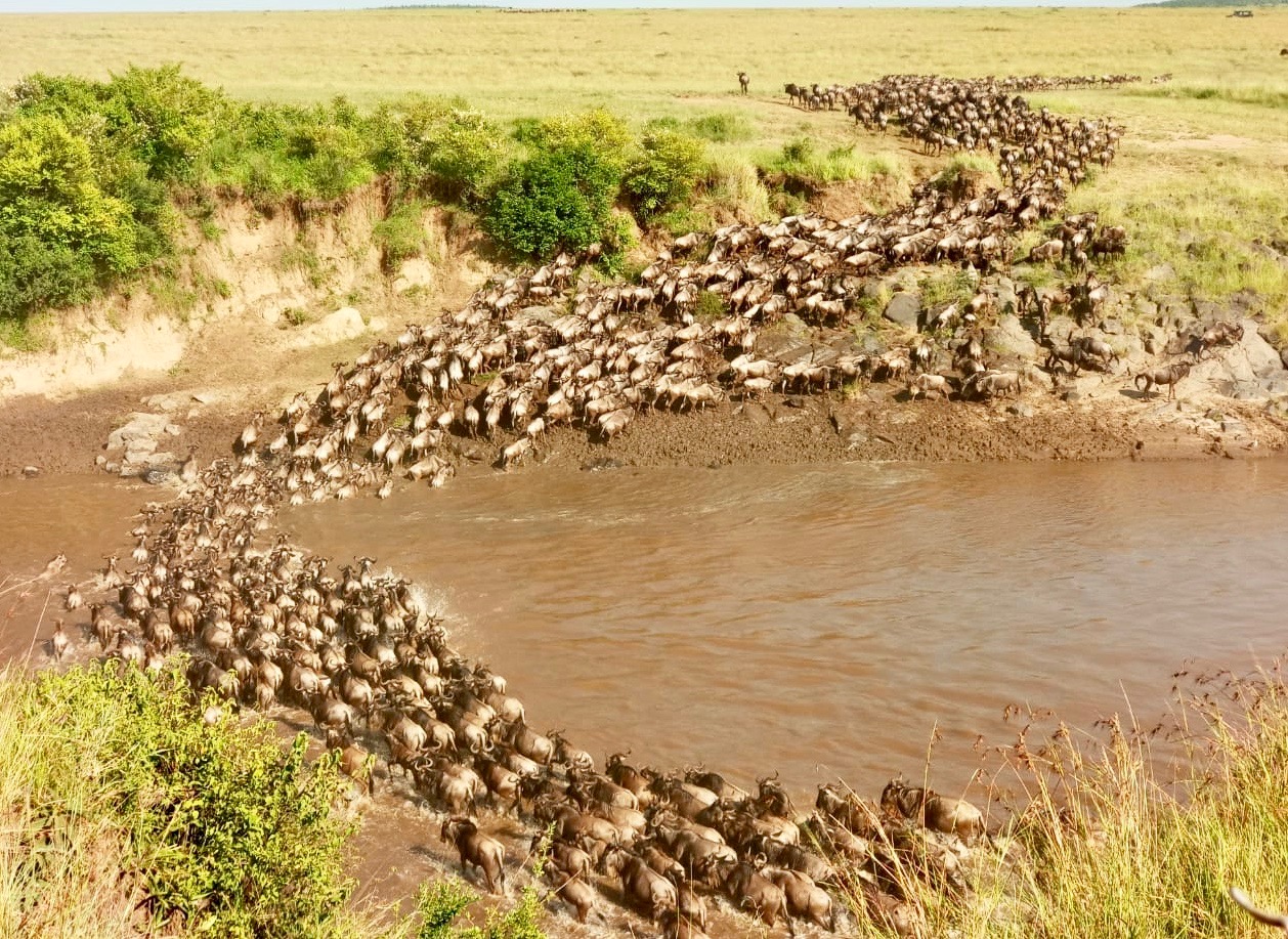 Kenya vs Tanzania Safari