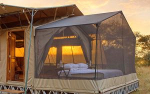 Starbed camp Serengeti