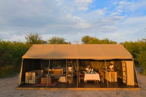 Migration Camp in Serengeti