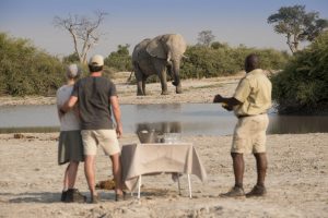 Best Africa Safari concierge