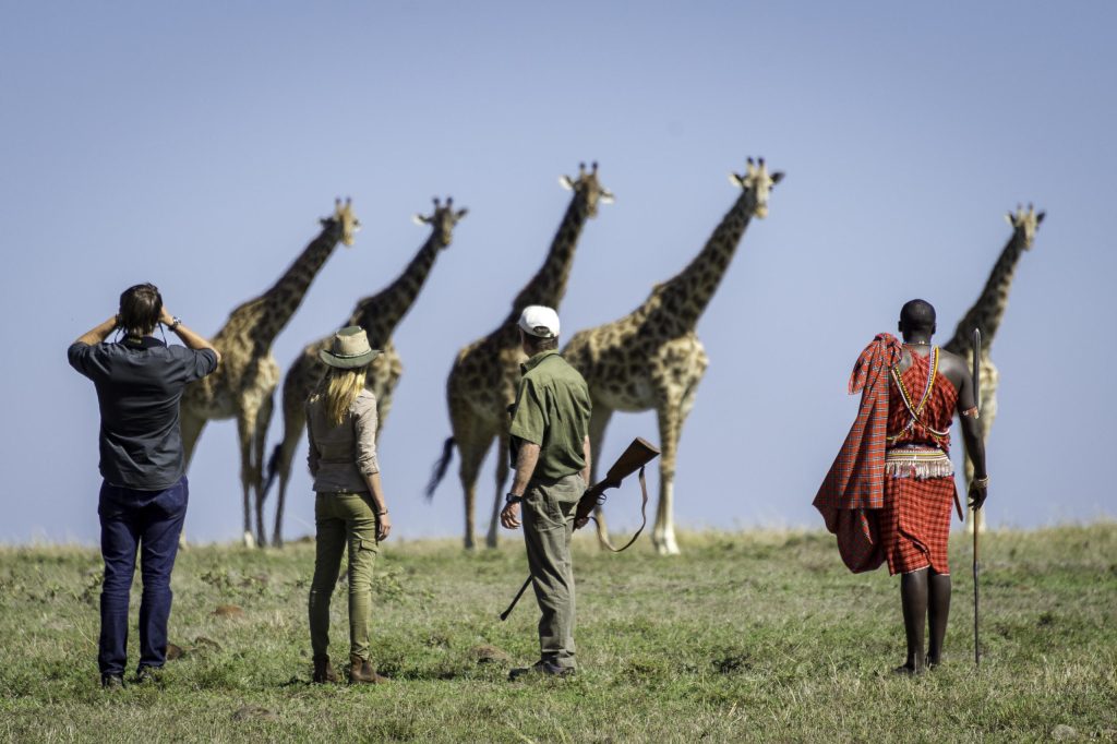 Tanzania Safari