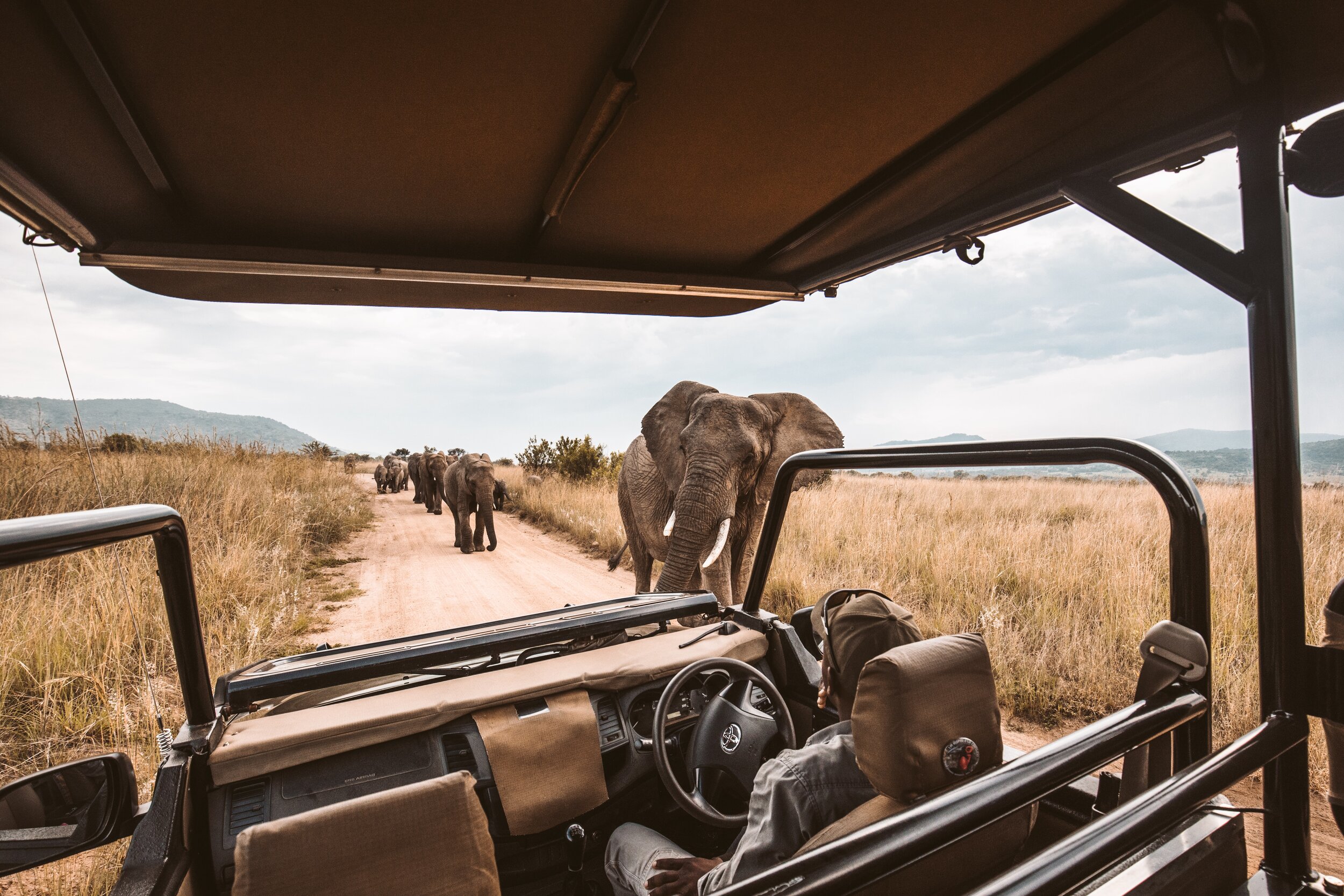 Kenya Safari game Drive