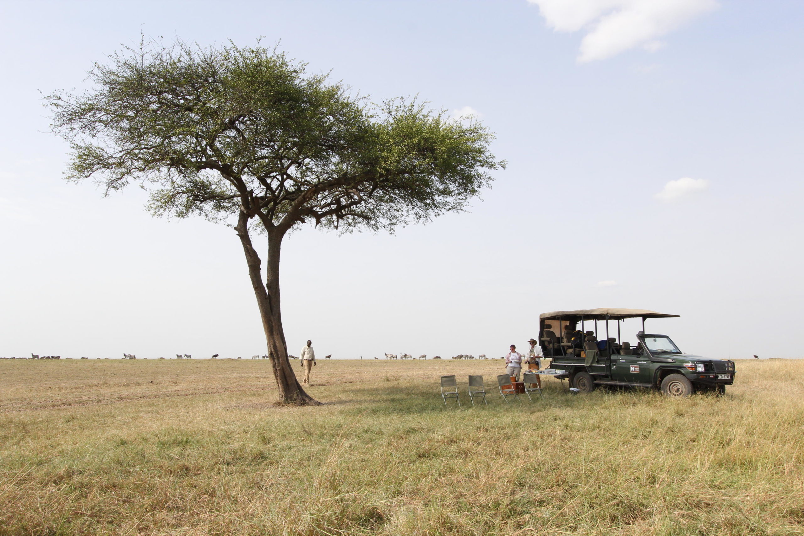 Why Choose Kenya over Tanzania Safari