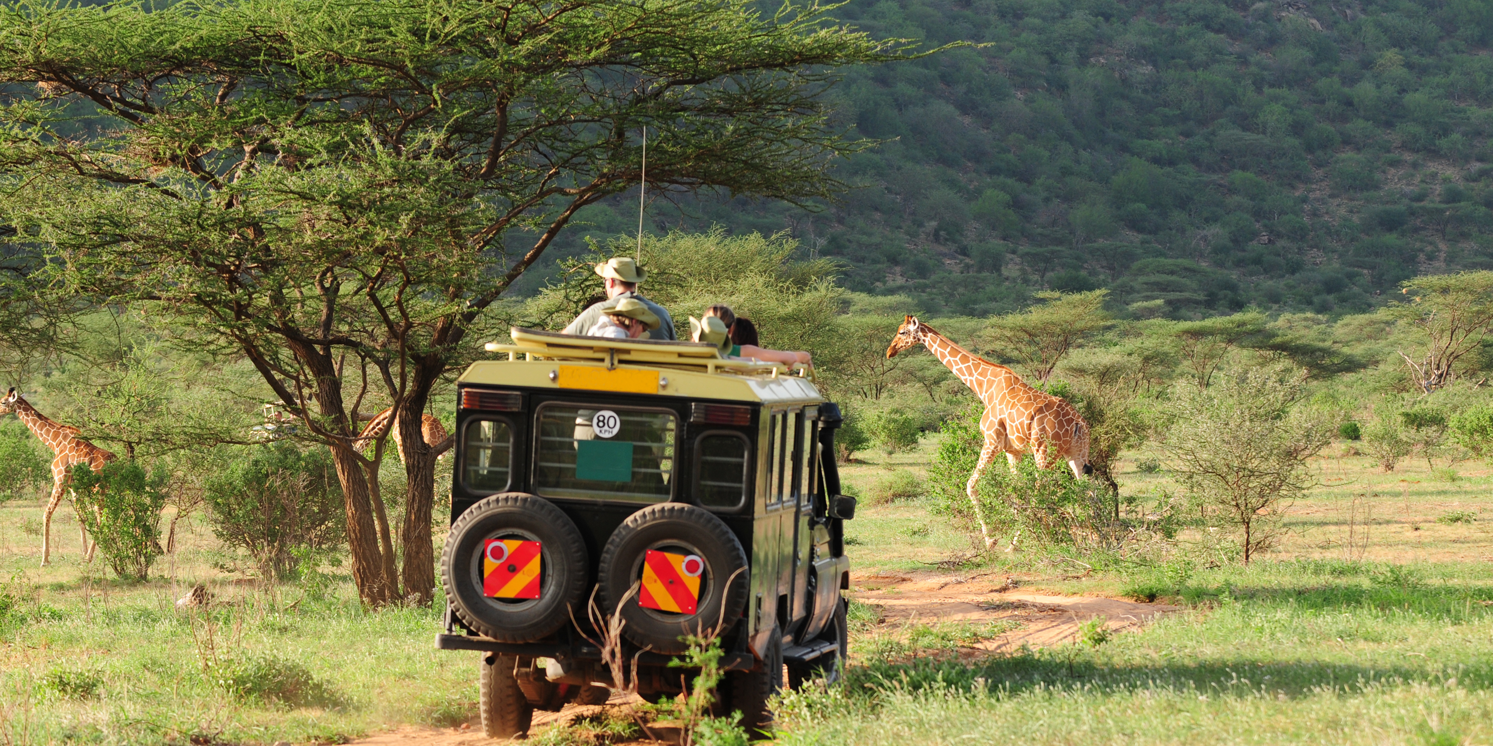 Park Safari