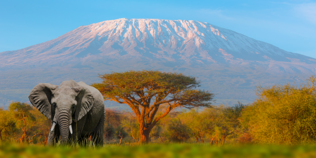 Kenya Mount