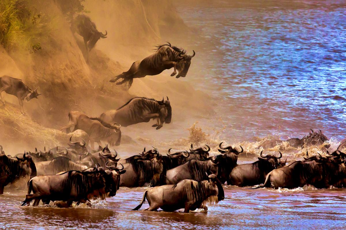 7 Days Great Migration Safari