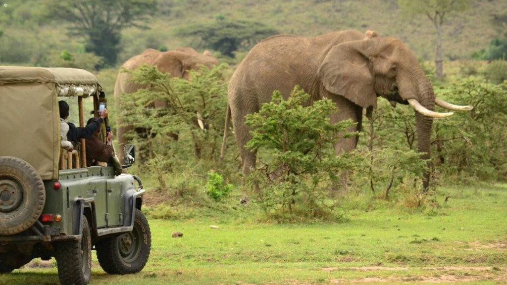 Choose a Reliable Safari Guide