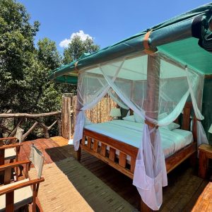 Enkakenya Starbed Experience