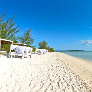 Blissful Rest from Tanzania Safari and Beach Holiday