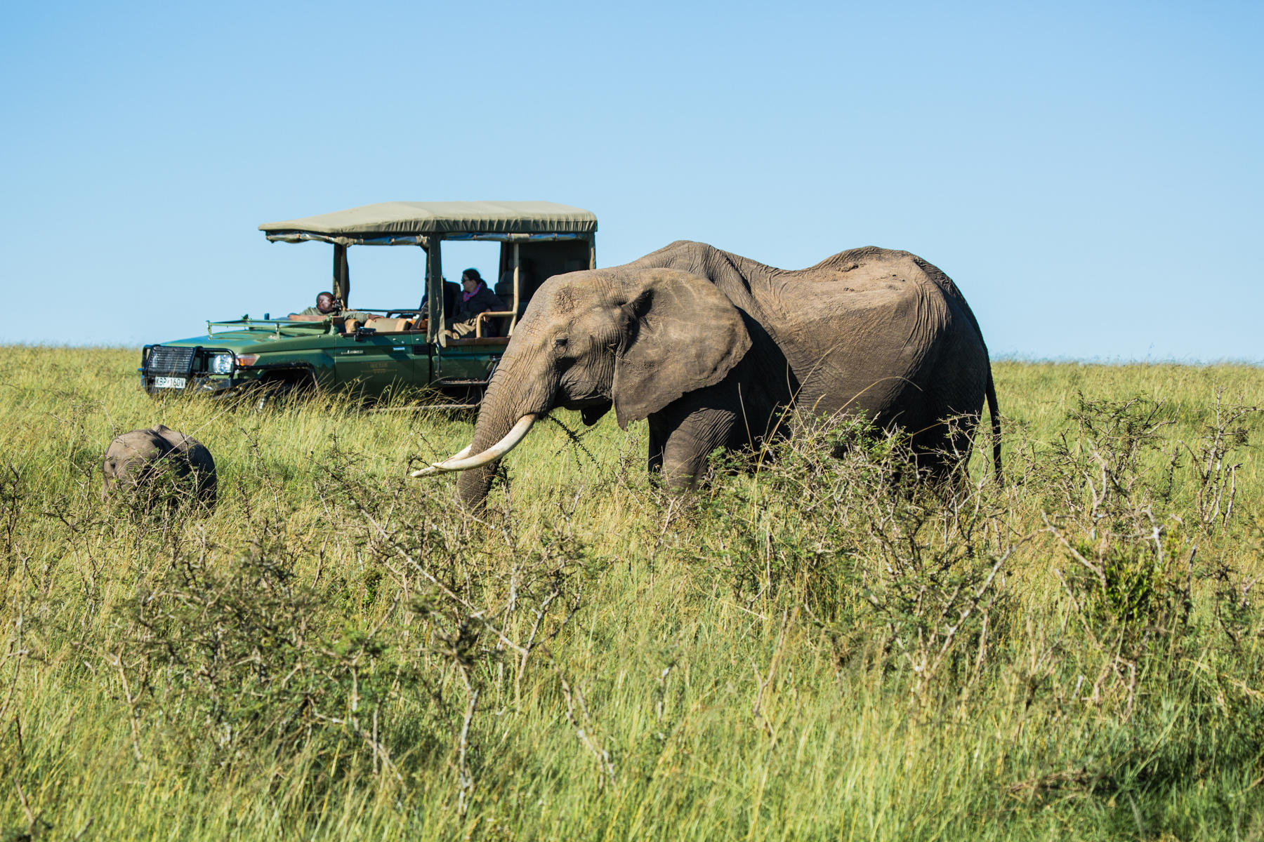 Why visit Kenya