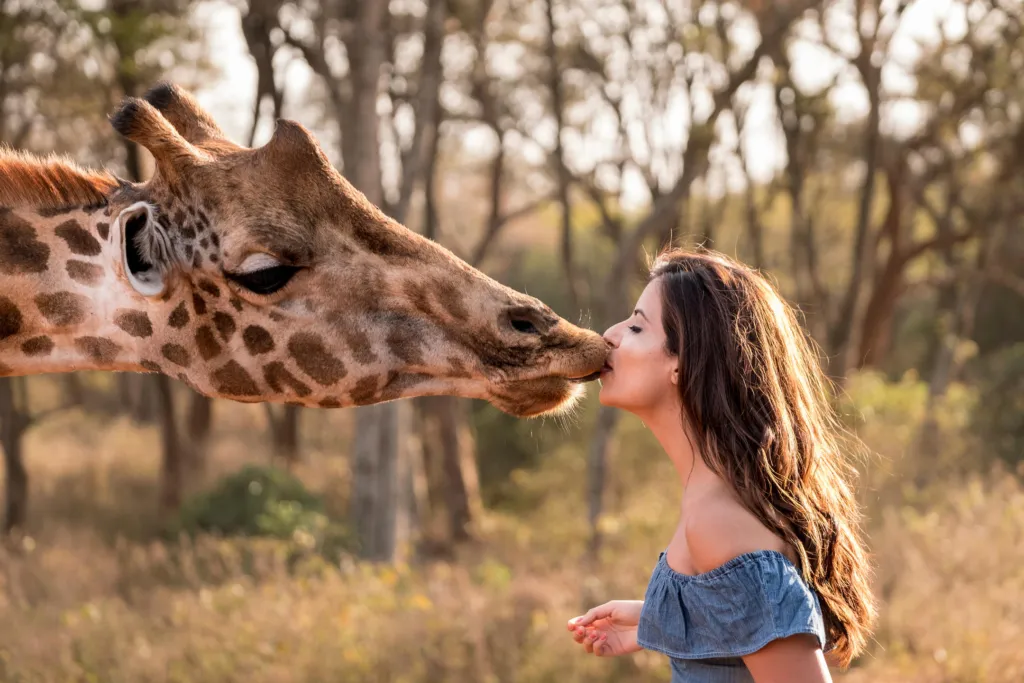 Travel guides