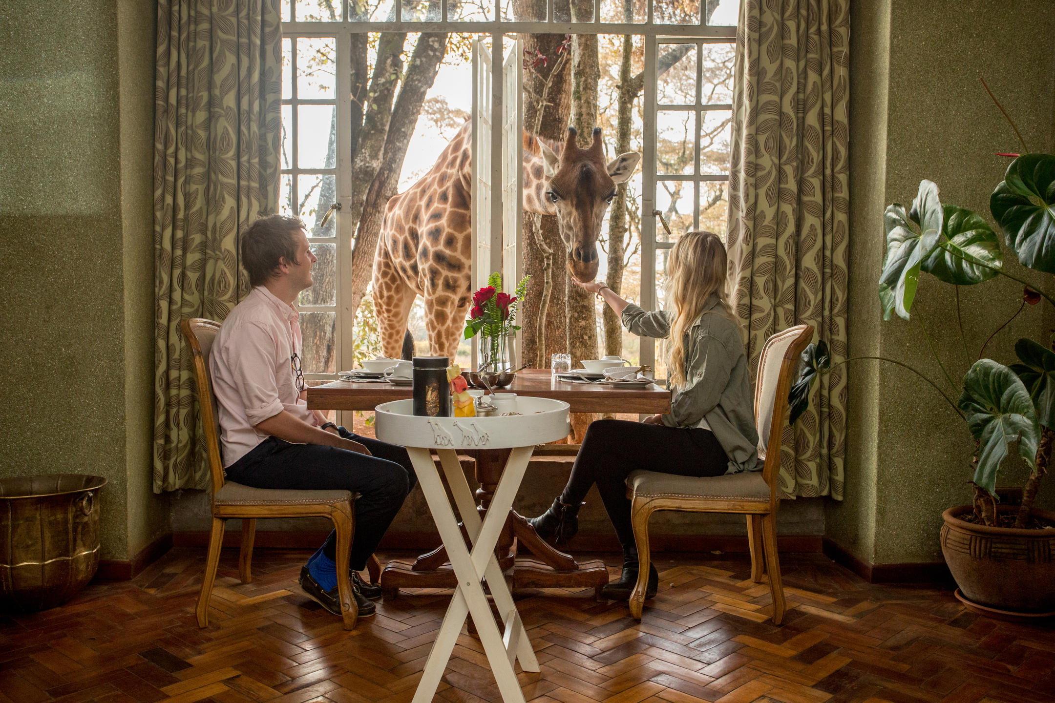 Honeymoon Safaris