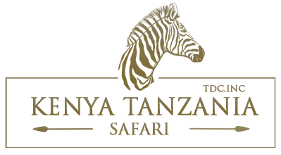 Kenya and Tanzania Safari