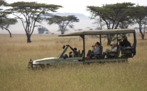 Kenya or Tanzania: Where To Go If You Can Only Choose One Safari Destination