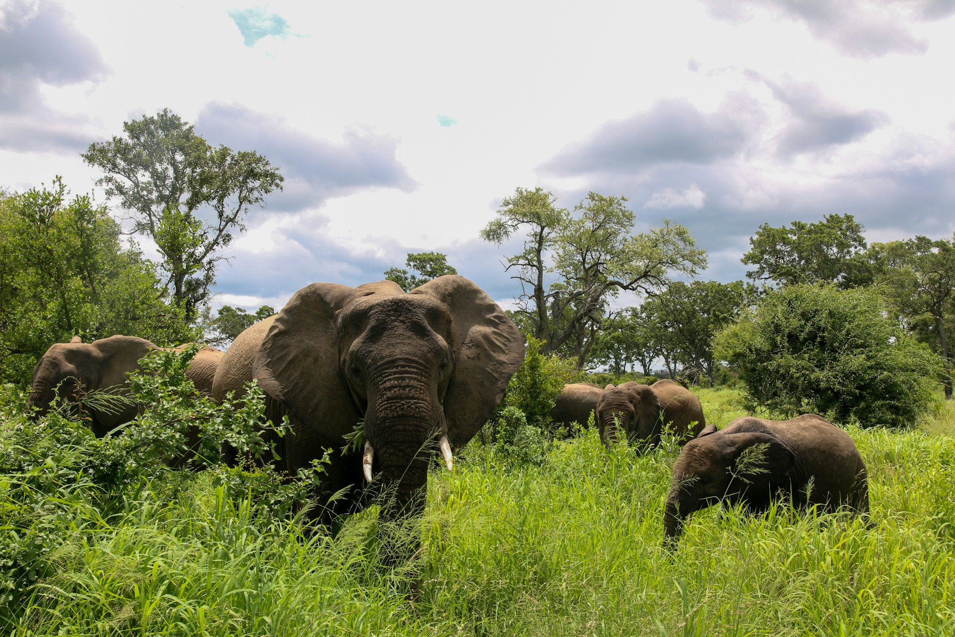 7-day Highlights of Kenya Safari
