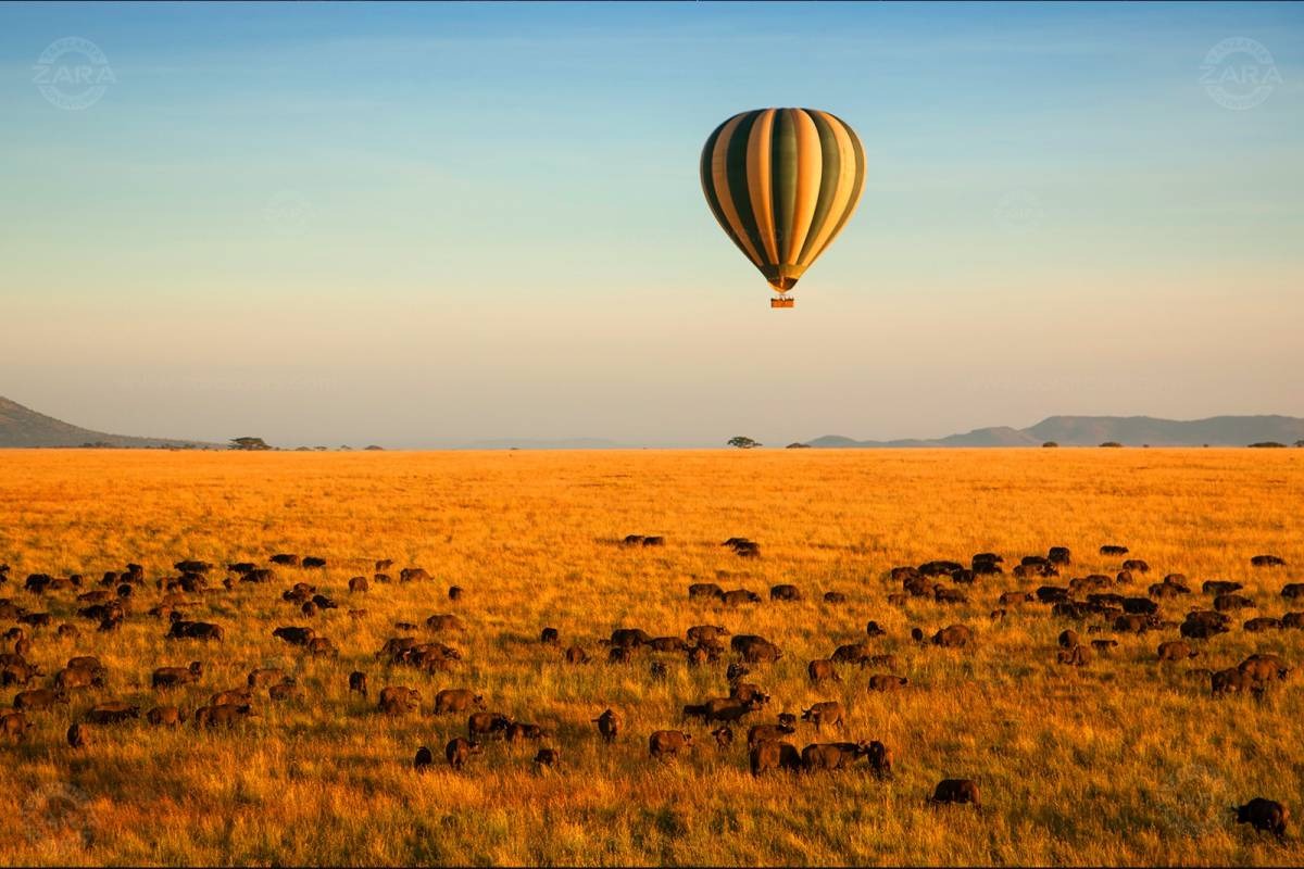 Hot air balloon safaris