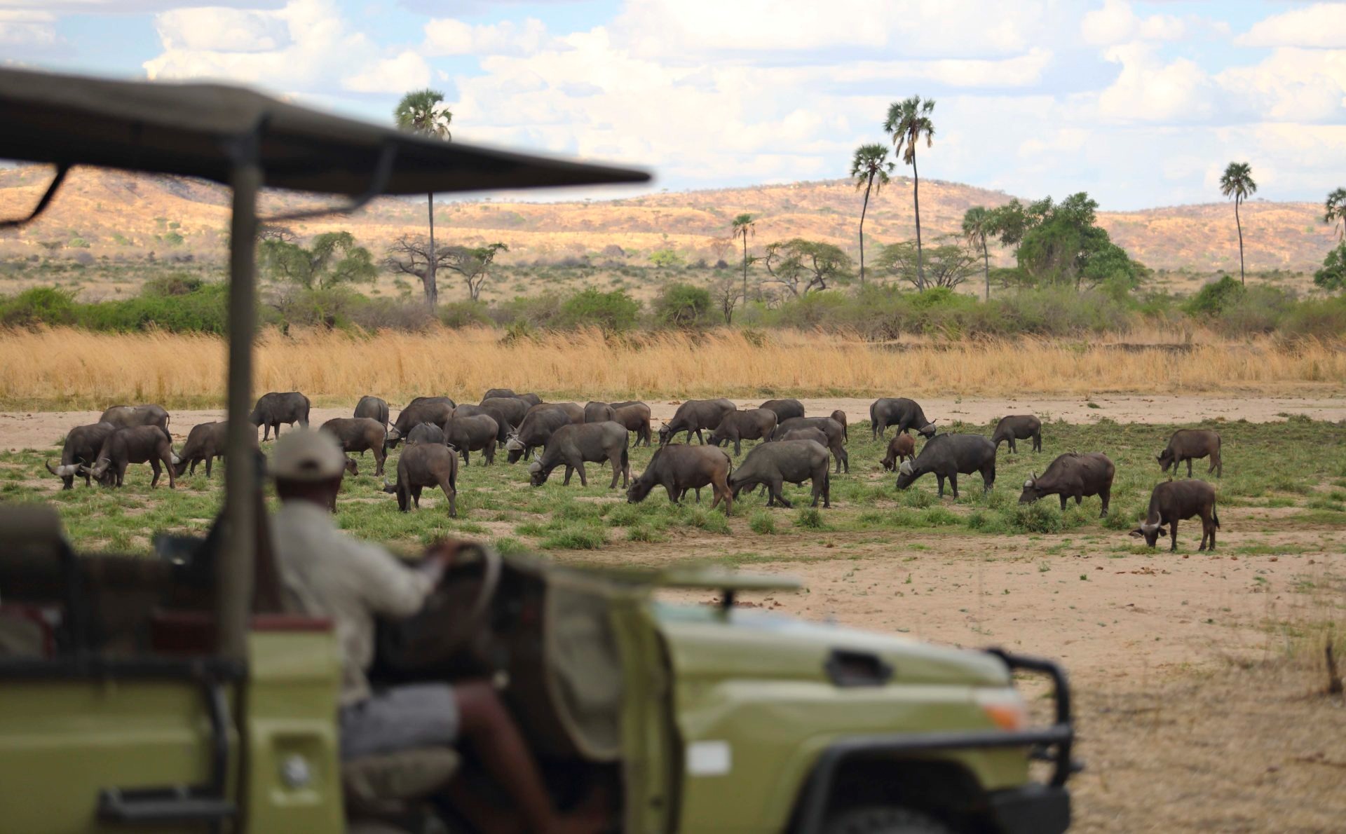 Best time to visit Kenya