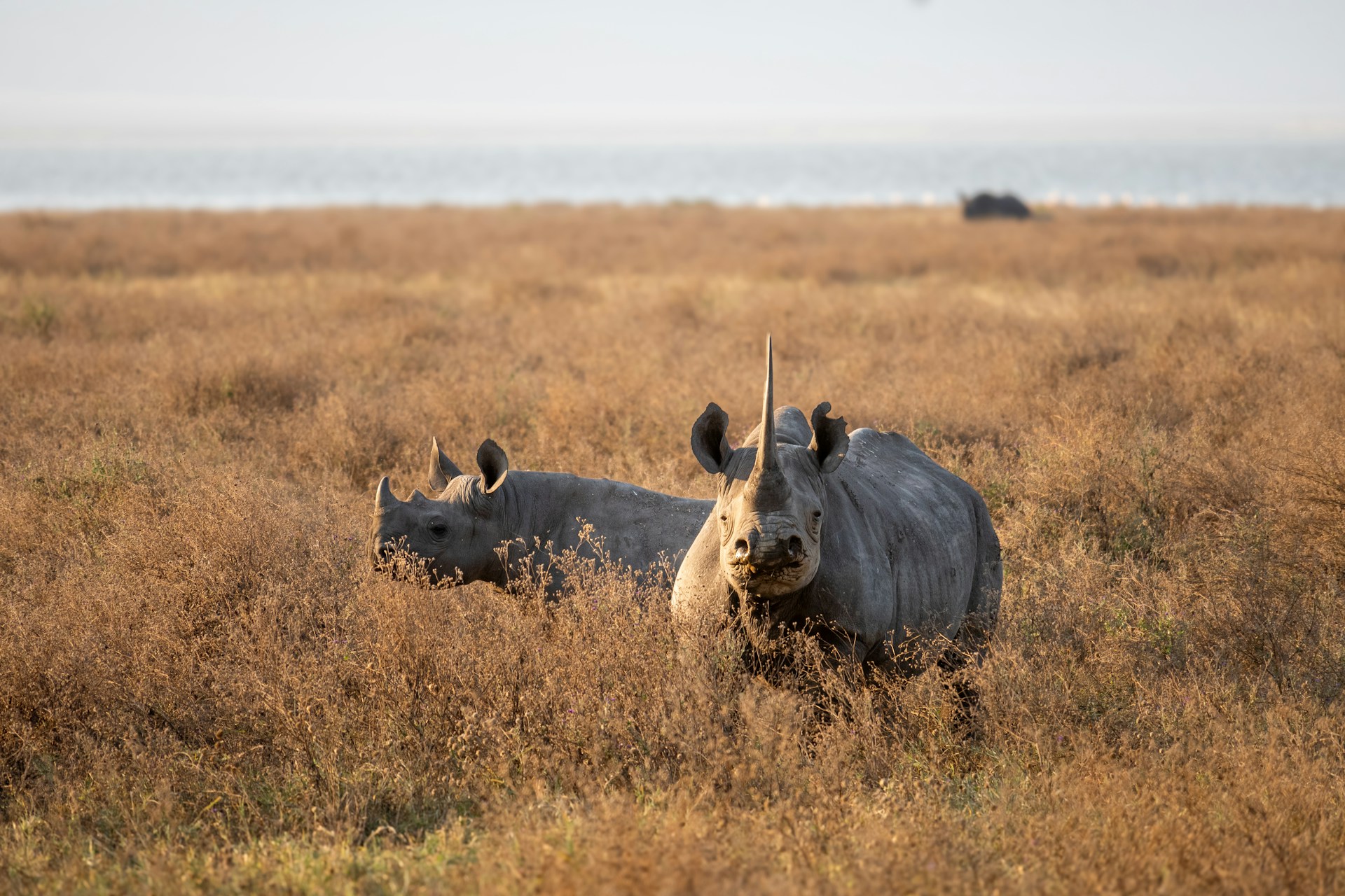 Best time to visit Tanzania