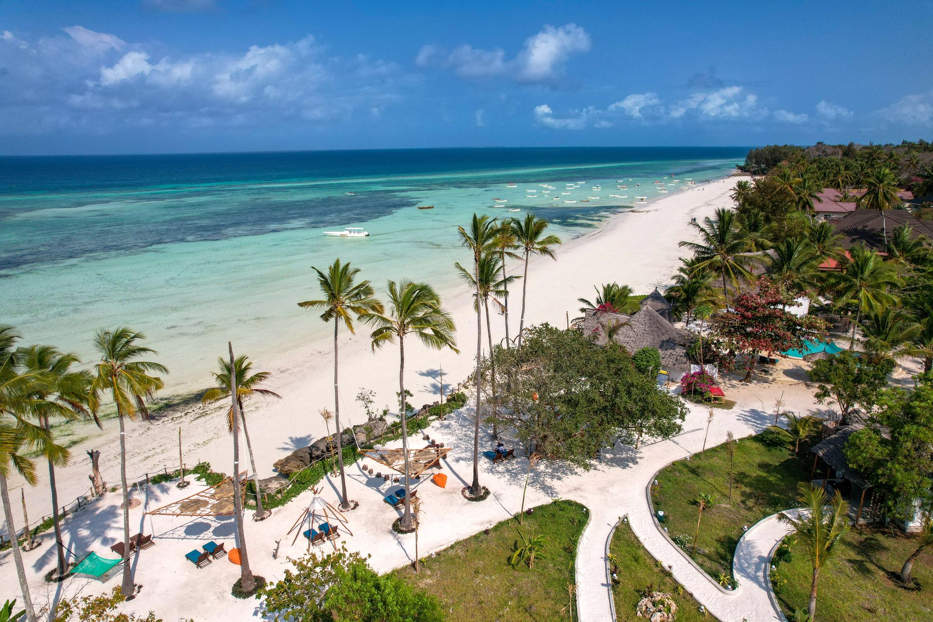 Safari and Beach