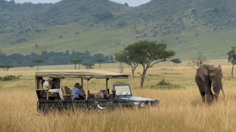 What to expect on a typical day on safari in Kenya
