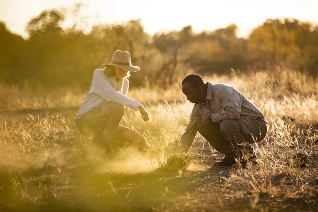 Combined Kenya and Tanzania Safari Tours