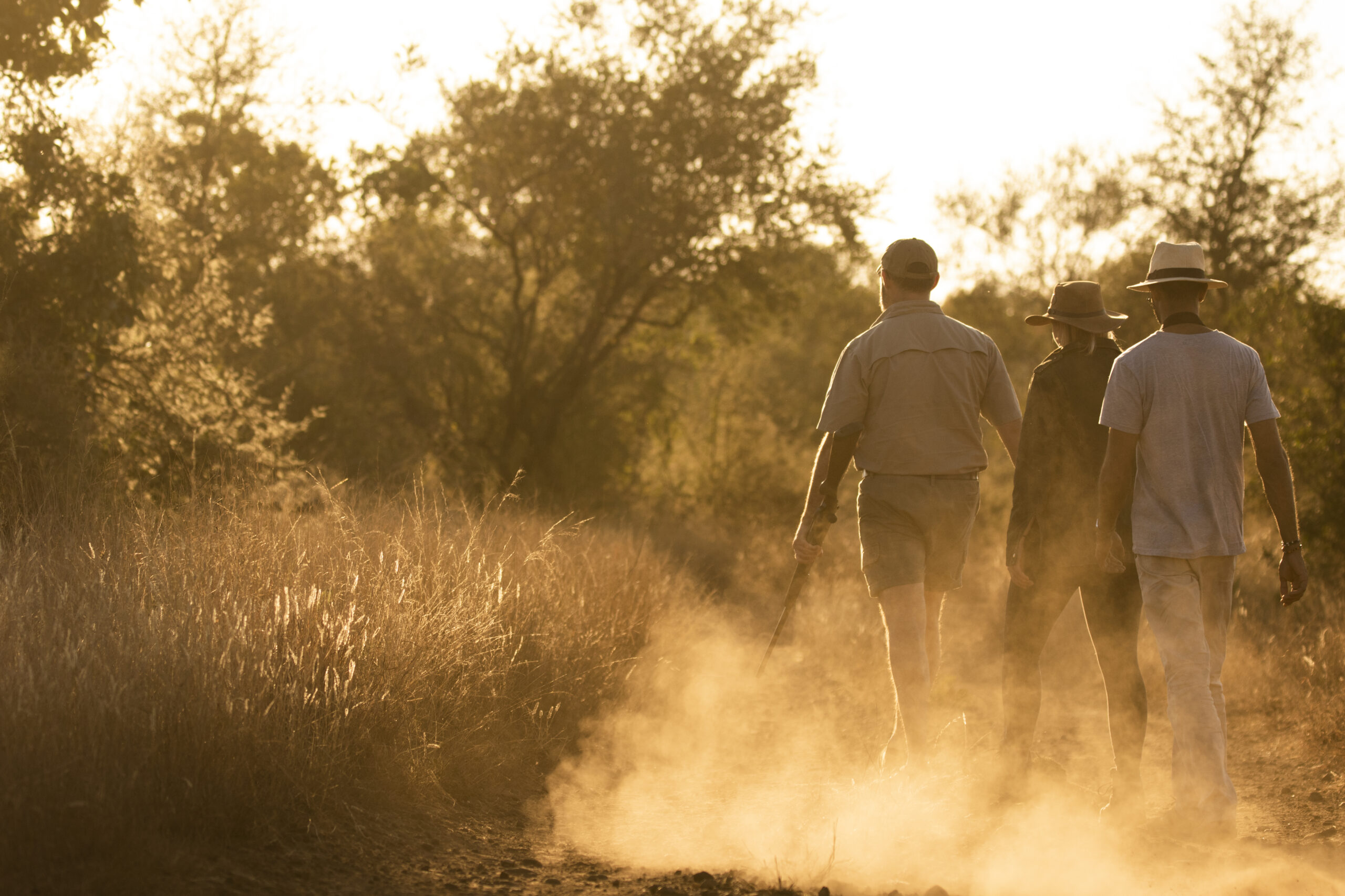 Walking safaris