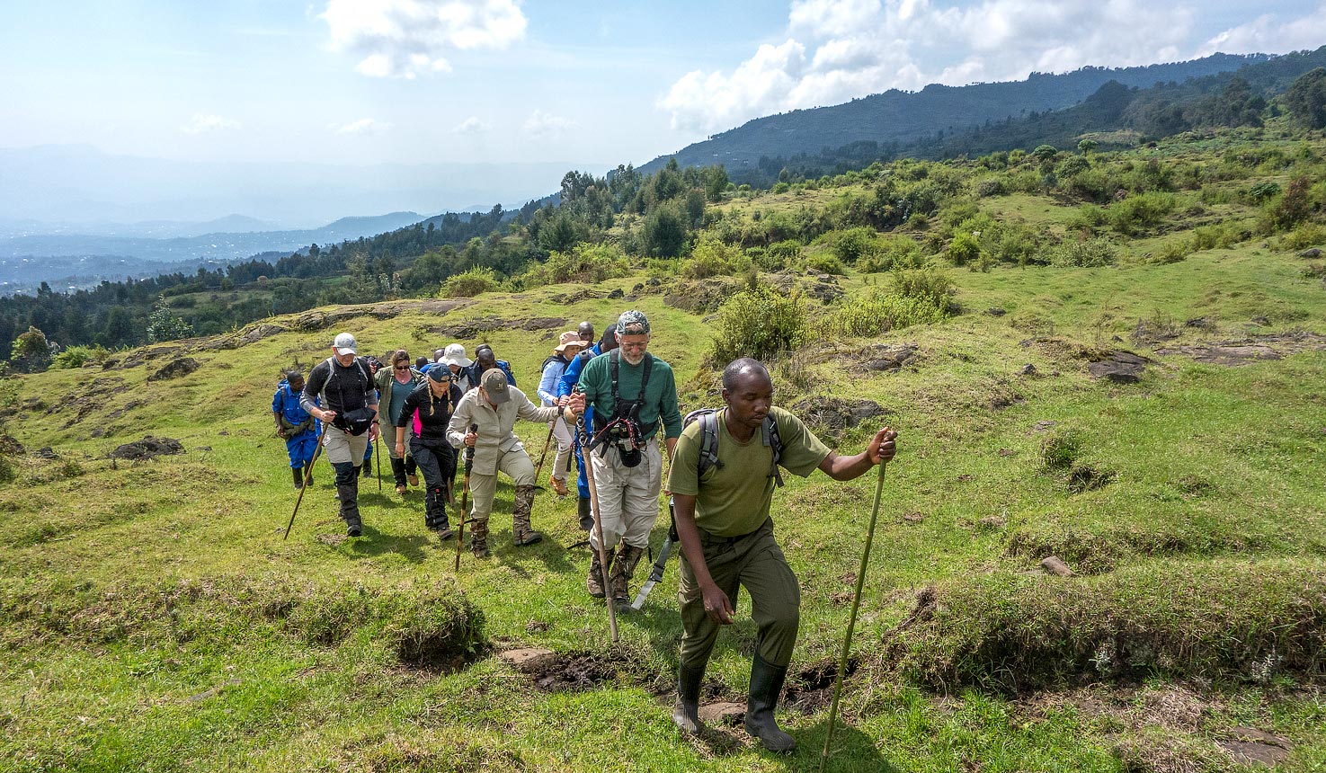Trackers Who Read the Forest Floor
