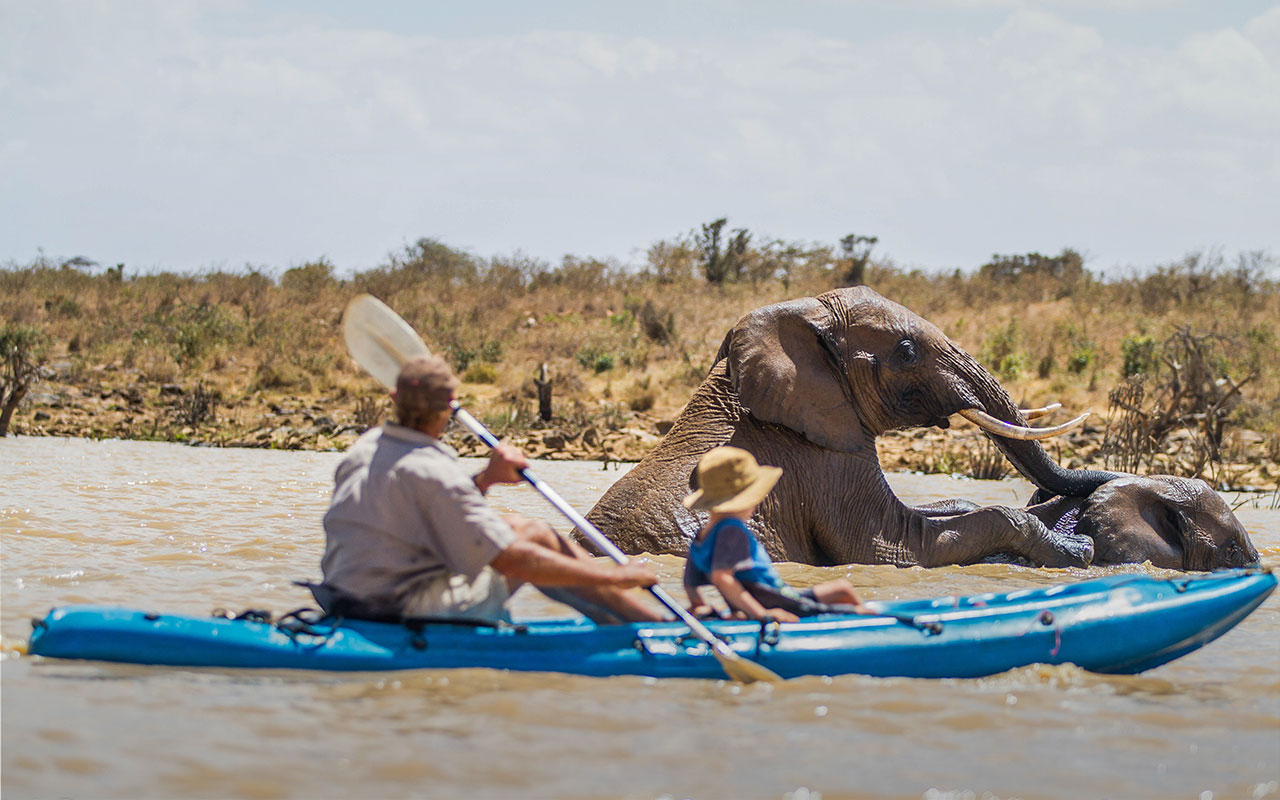 Luxury Safaris