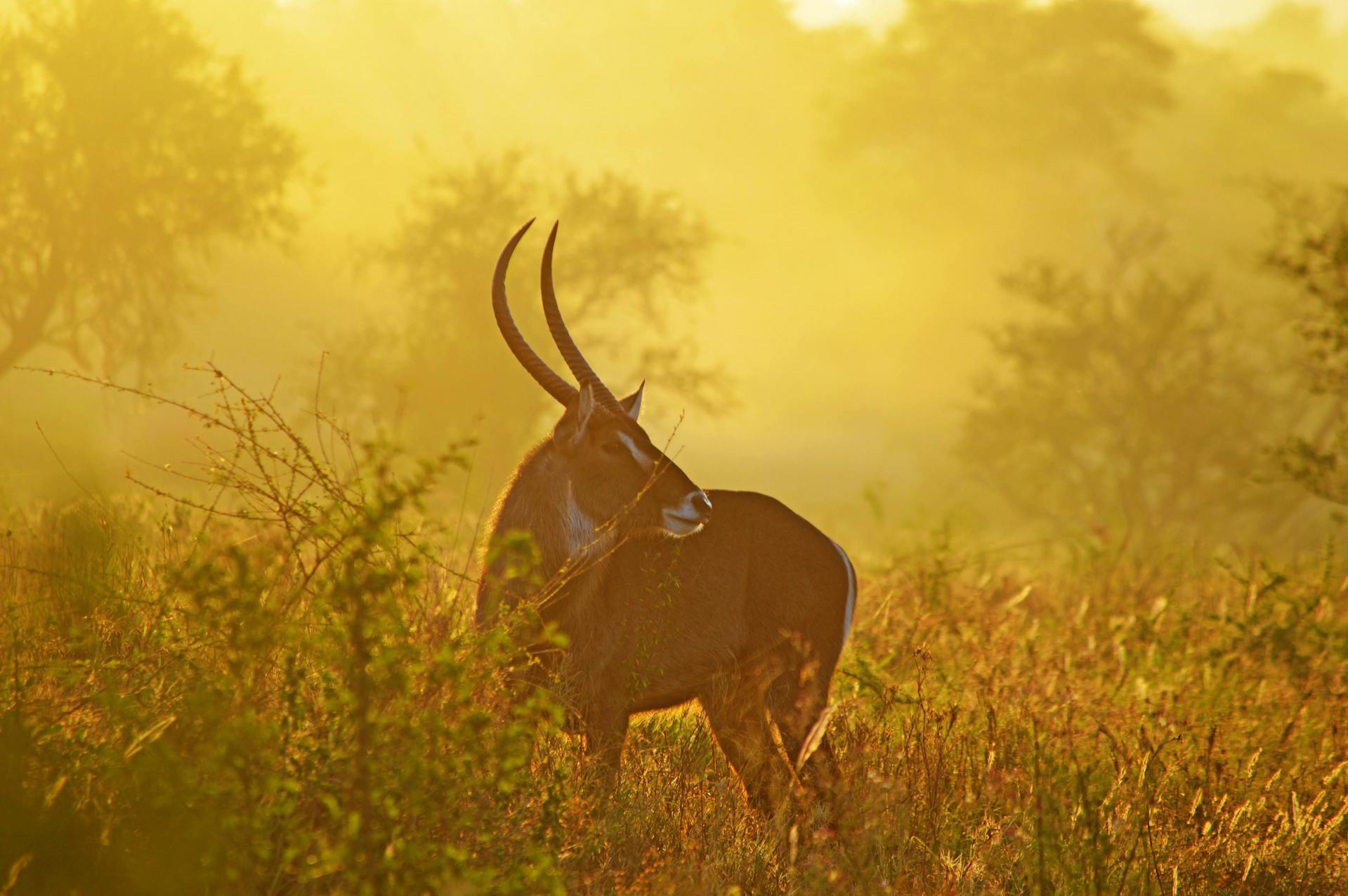 8-Day Kenya Tanzania Family Safari