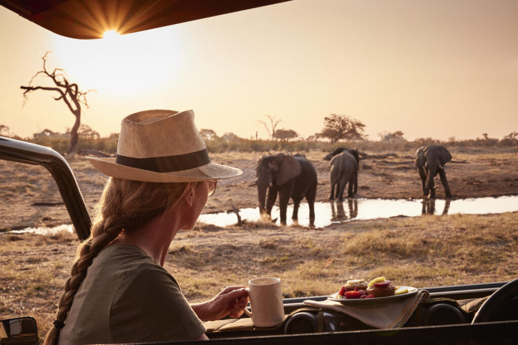 A guest on a Kenya Tanzania safari spotting elephants on a open safari land cruiser