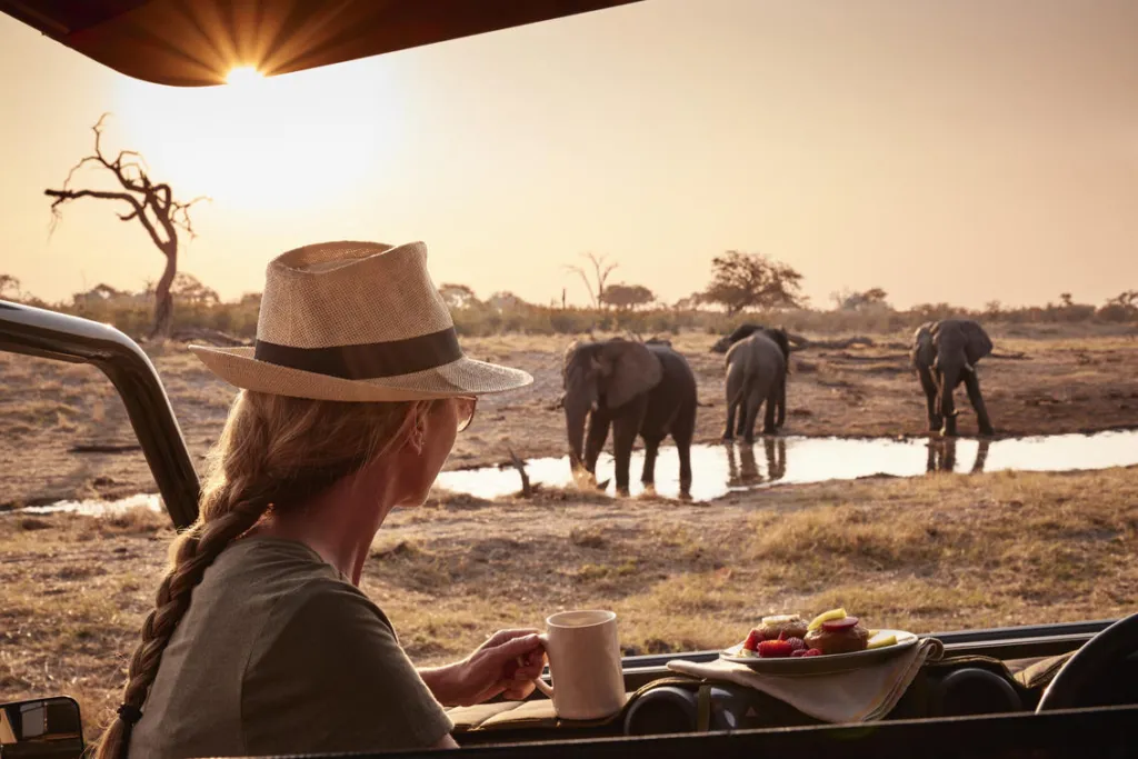 Why book with Kenya Tanzania Safari