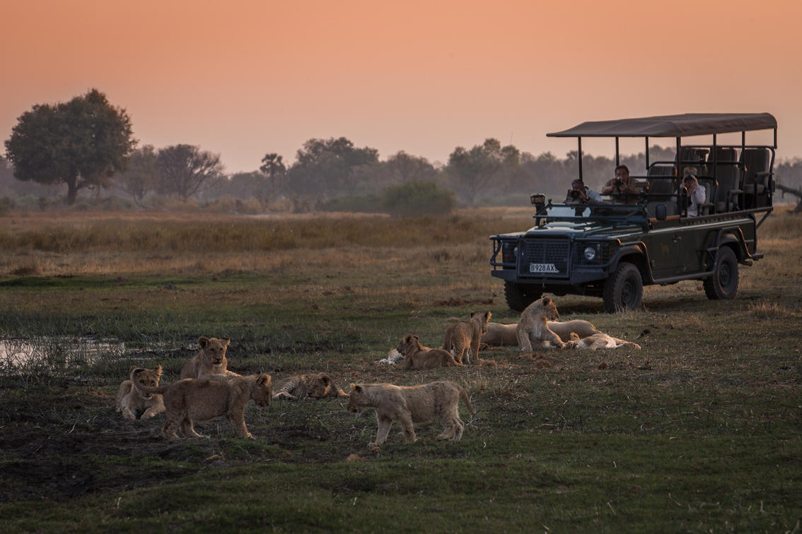 Game drives across two countries