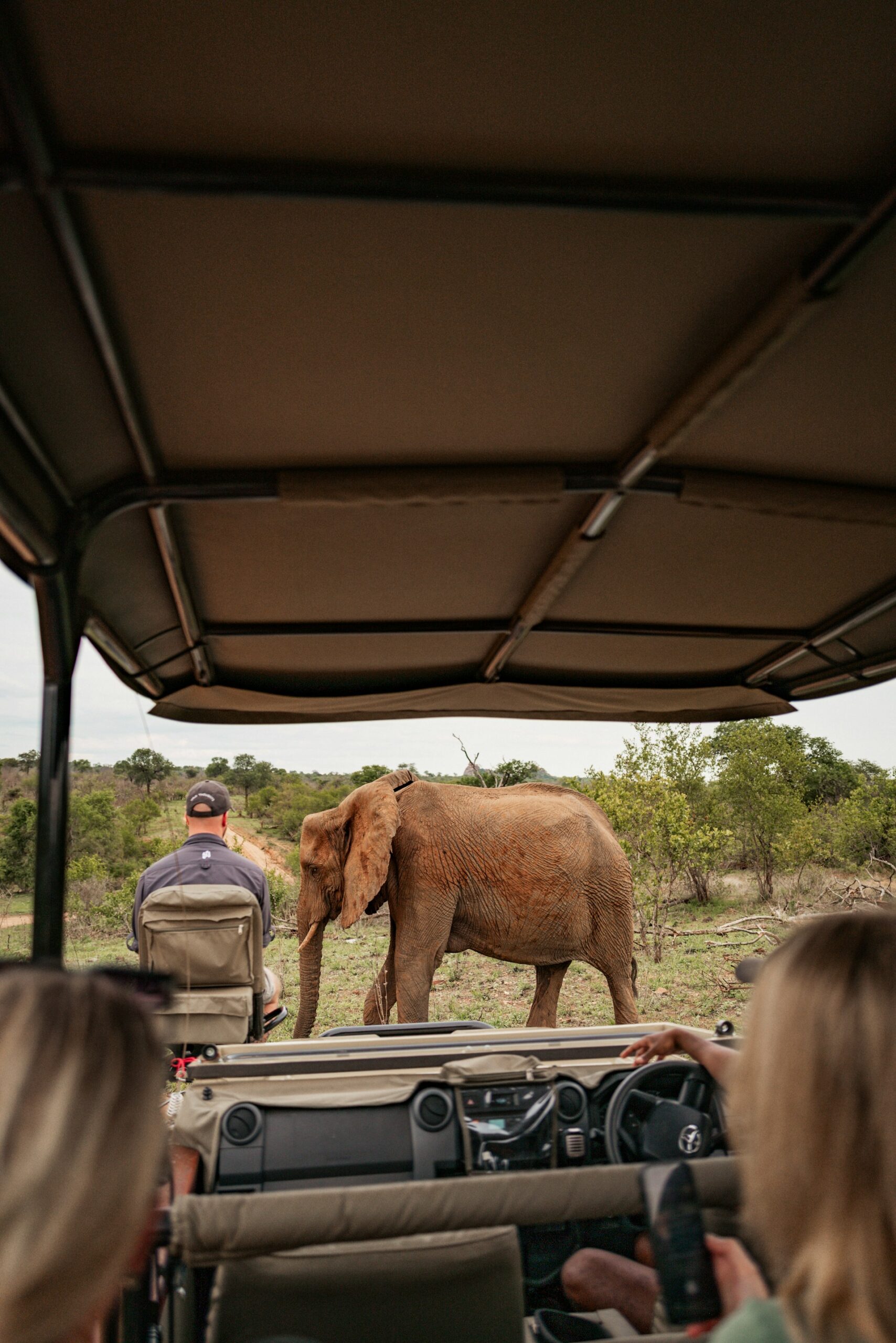 Frequently Asked Questions on Family Safari