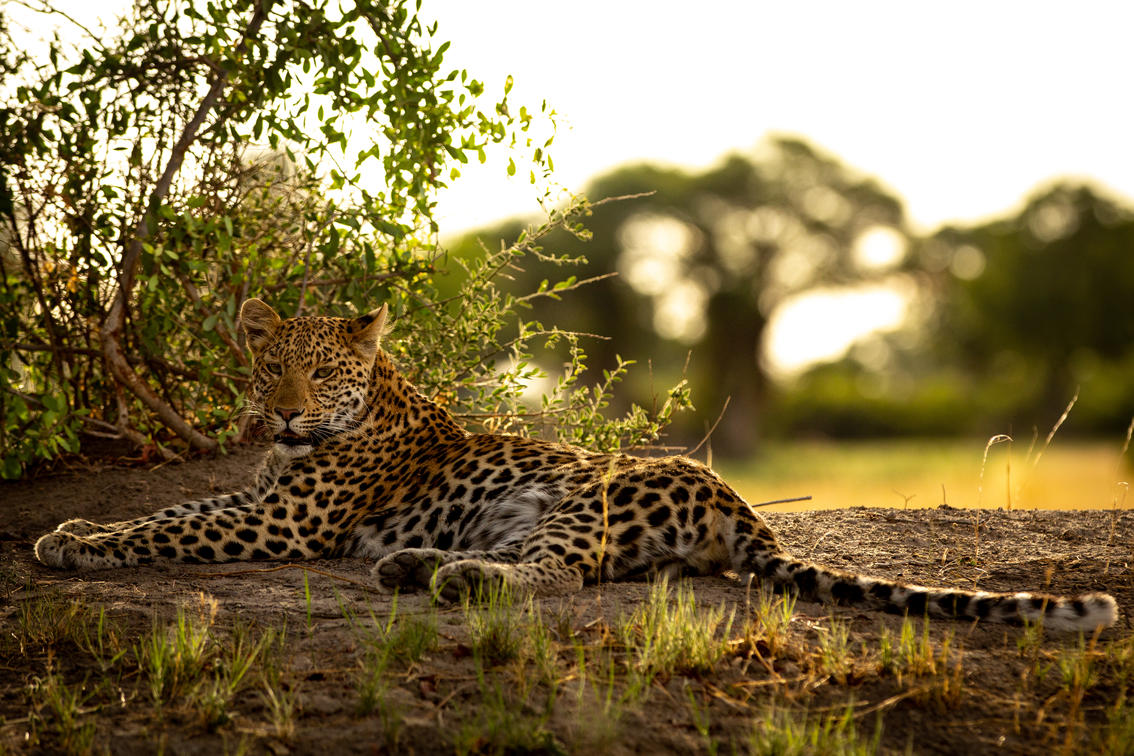7 Days Serengeti & Zanzibar Beach