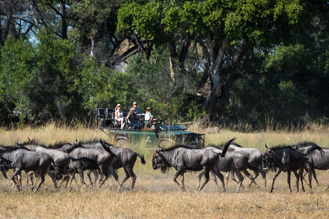 23 Days Experience East Africa Safari