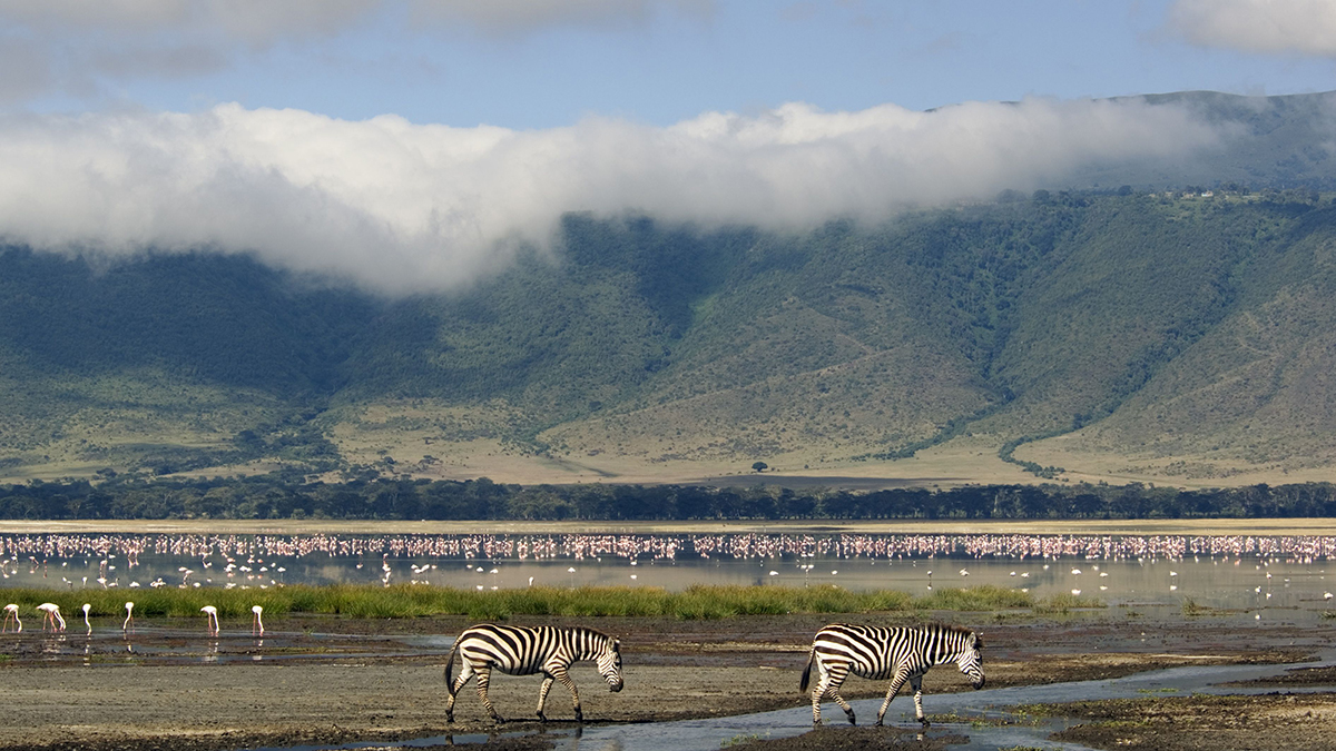 Ngorongoro Crater descent