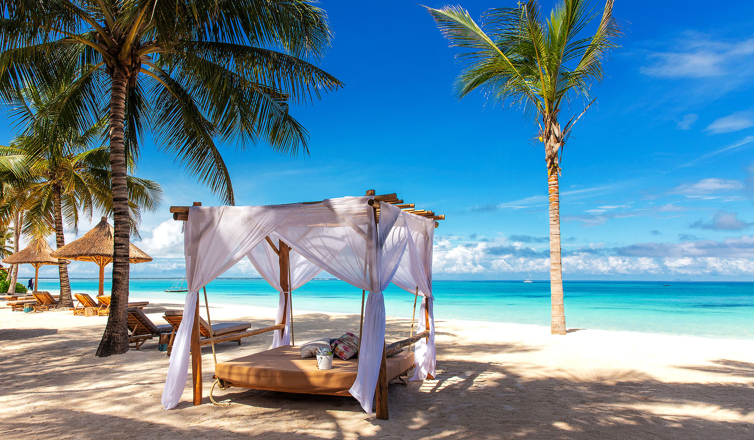 Safari and Beach