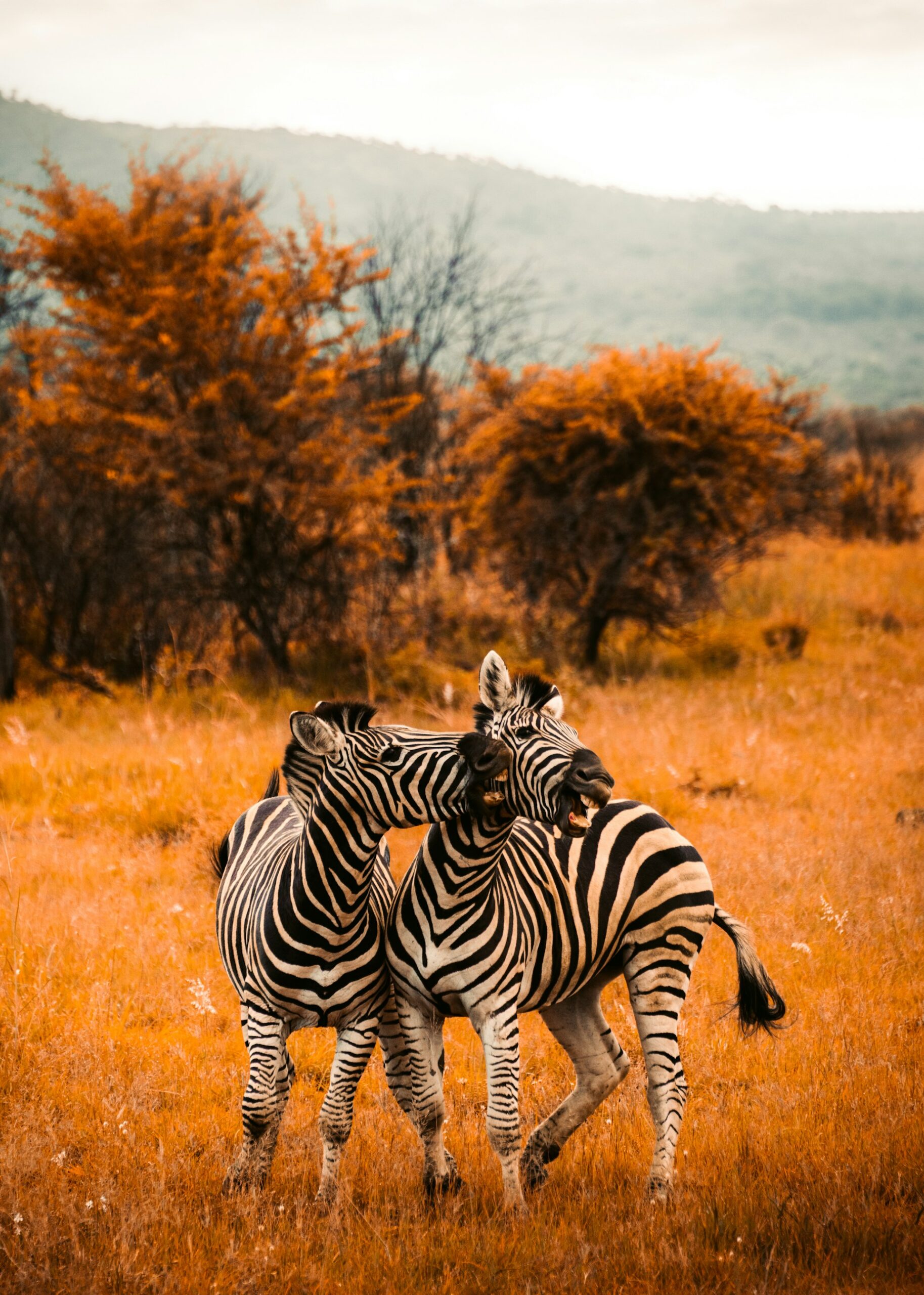 Where Your Story Together Really Begins