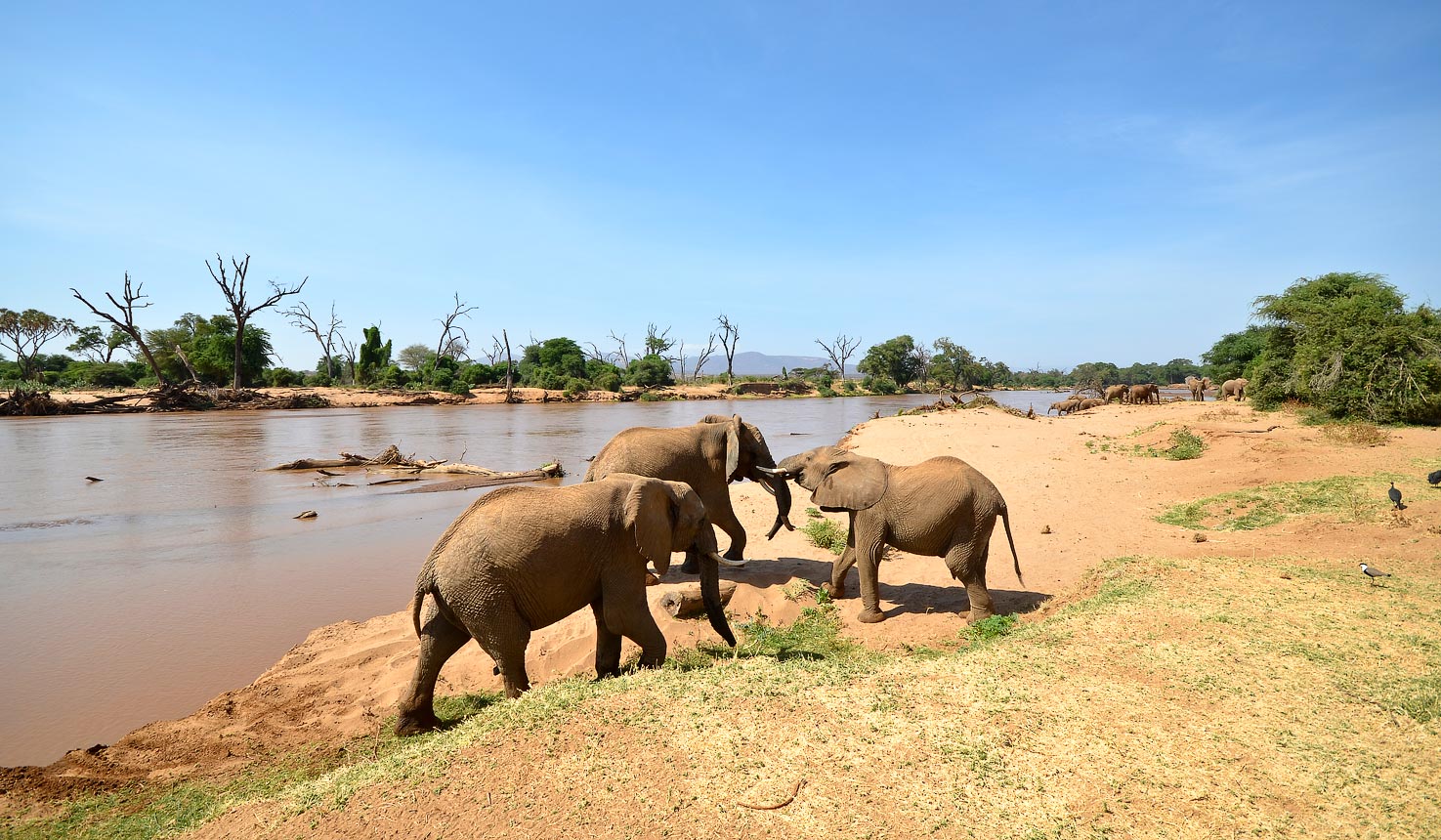 Why visit Samburu National Reserve