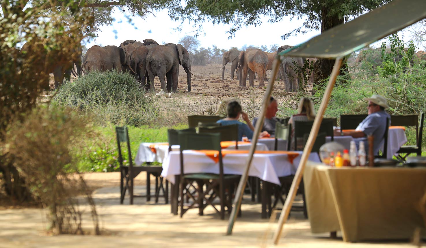 Why visit Tsavo East Safari