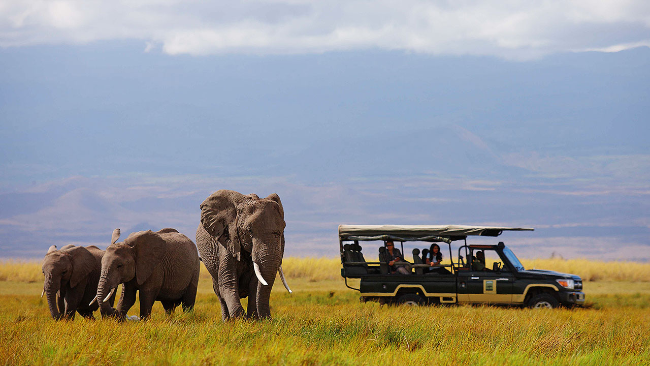 4 Days Fly-in Amboseli Safari