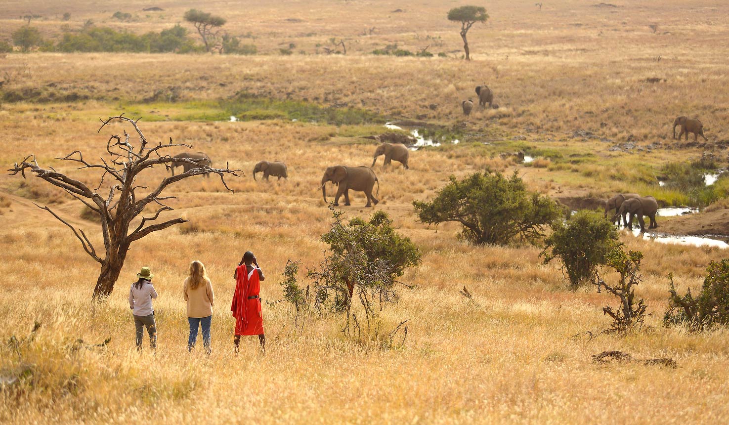 Why visit Lewa Wildlife Conservancy
