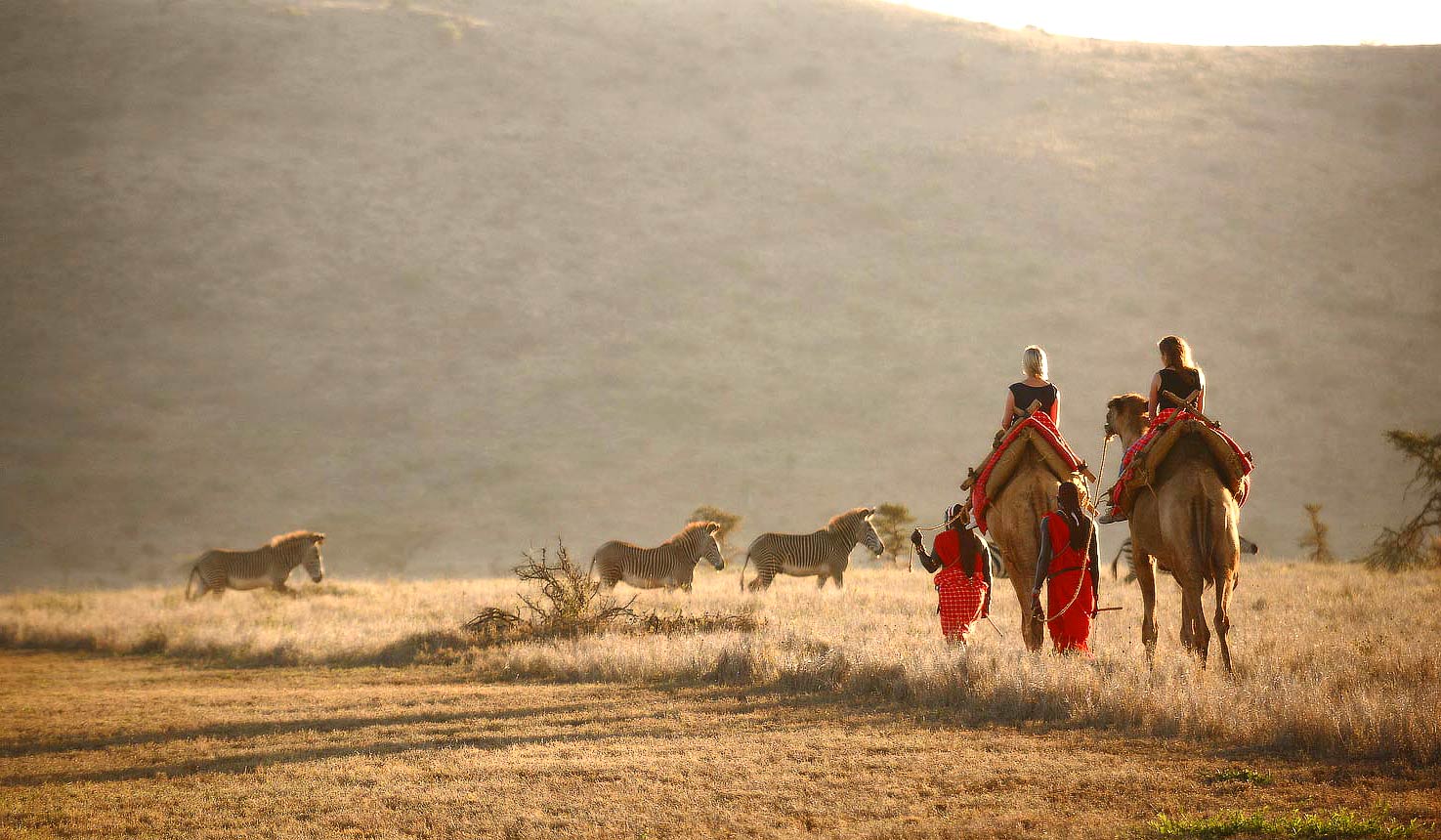 Lewa Wildlife Conservancy