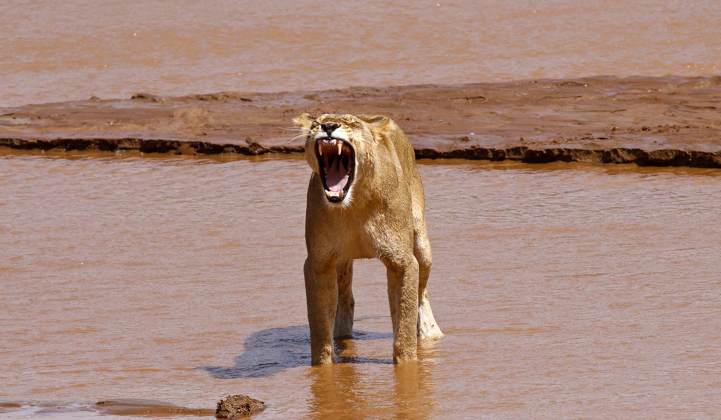 Samburu National Reserve