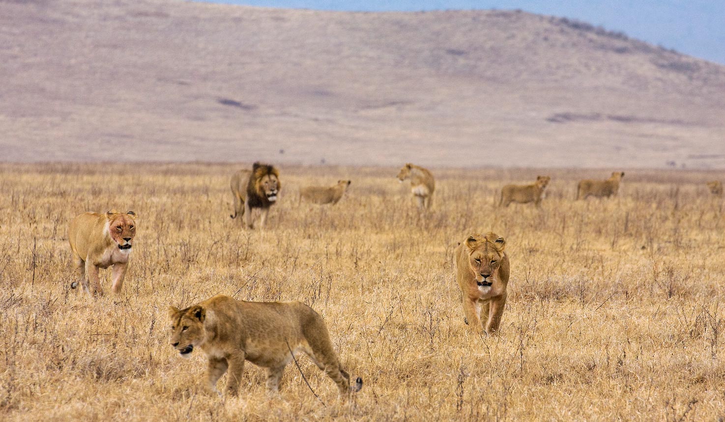 Why visit Ngorongoro Crater