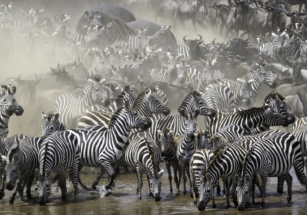 Masai Mara National Reserve