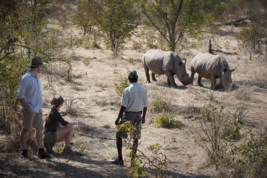 Kenya, Tanzania and Zanzibar Honeymoon Safari