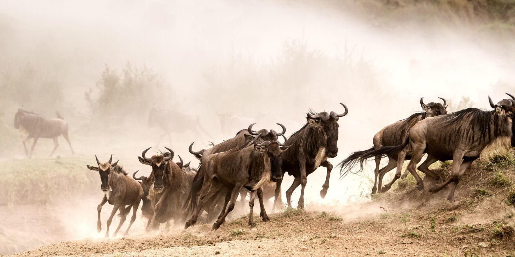 3 Days Masai Mara Safari